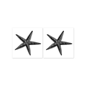 boubouki – Fliesenaufkleber – „Seestern“ 2er Set – 15cmx15cm